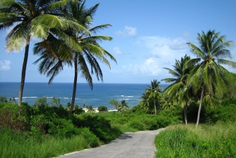 Дорога на Барбадосе