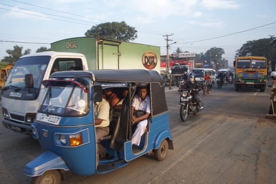 Типичные участники дорожного движения на Шри-Ланке