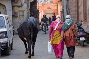 Индия фото – корова на индийской дороге
