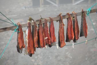 Гренландия фото – сушеная рыба