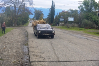 Сельская дорога