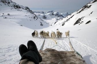 Гренландия фото – собачьи упряжки