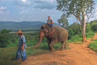 Тайланд фото – Поездка на слоне