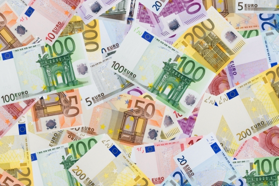 Внешний вид евро
