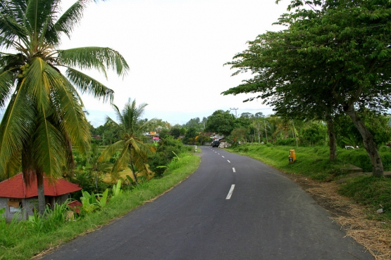 Дорога у пляжа Ловина на Бали