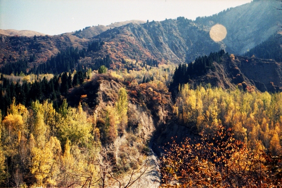 Осень в казахской степи