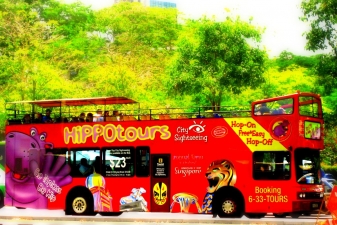 Автобусы HiPPO tours 