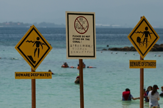 Предупреждающие таблички на одном из пляжей Борнео
