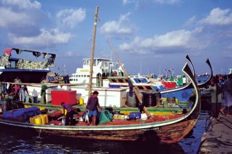 Мале фото – Лодки дхони на пристани Мале