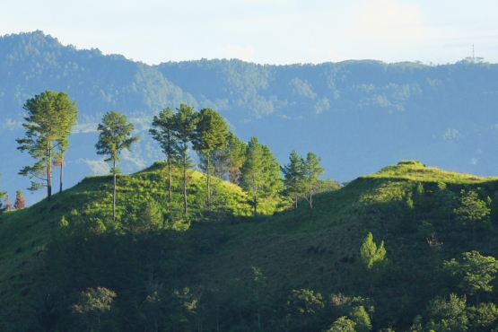 Холмы Суматры погожим летним утром